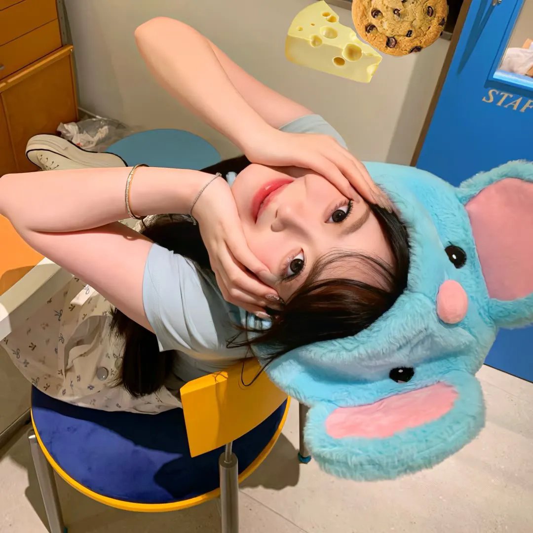 好猫咪咪