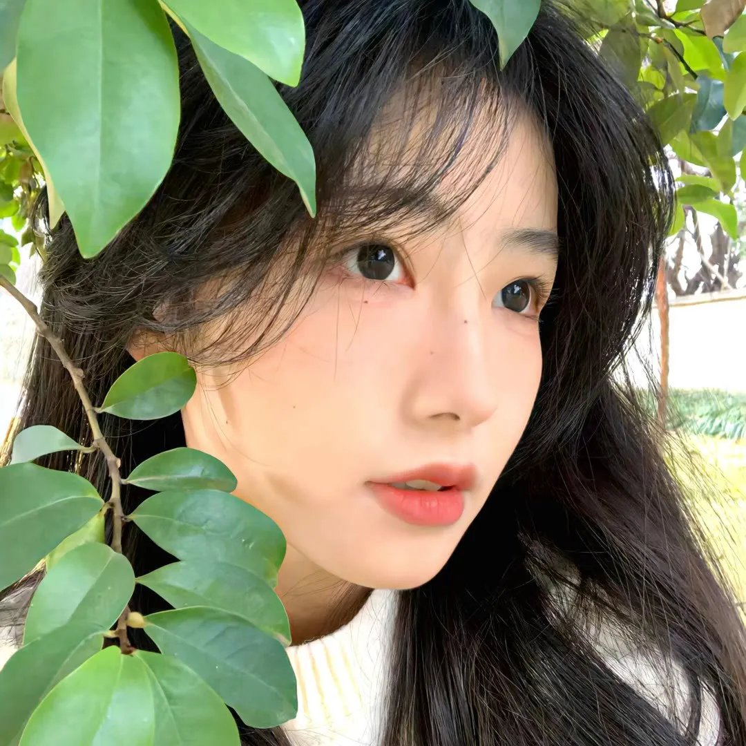 玫瑰小天使